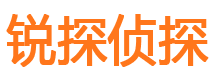 河东区市侦探公司